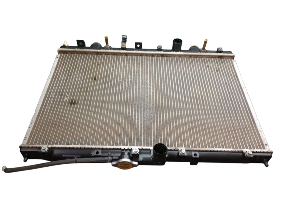 Radiador De Água Pajero Tr4 Flex Automática 2007 2