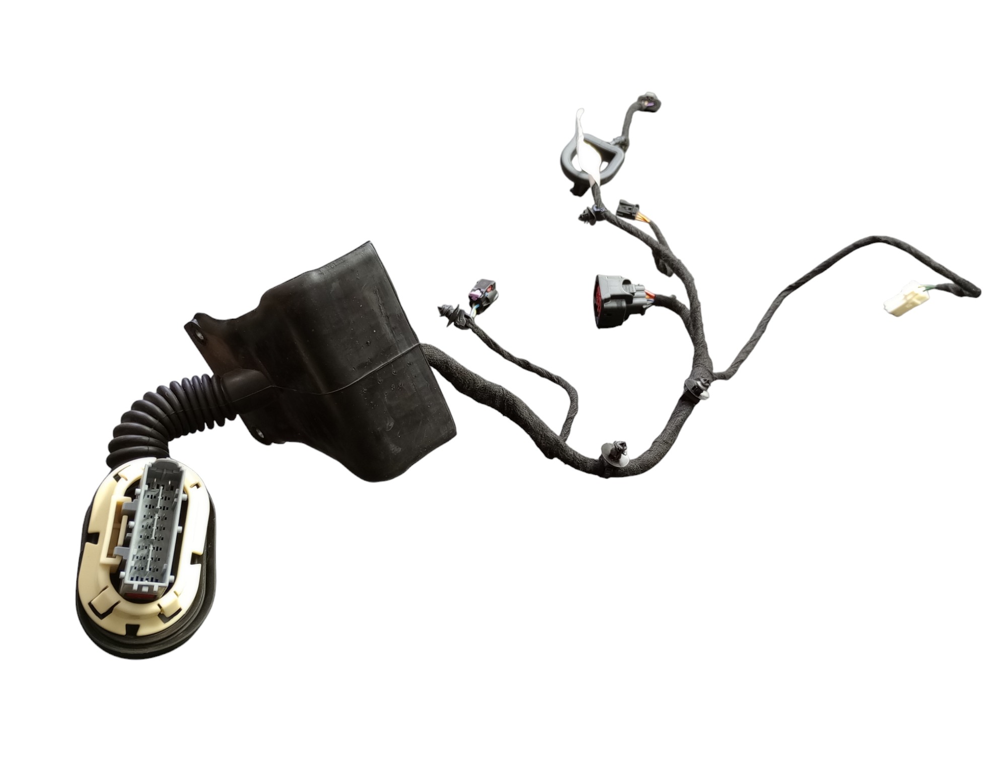 Chicote Porta T.e Rampage Rebel 2024 4