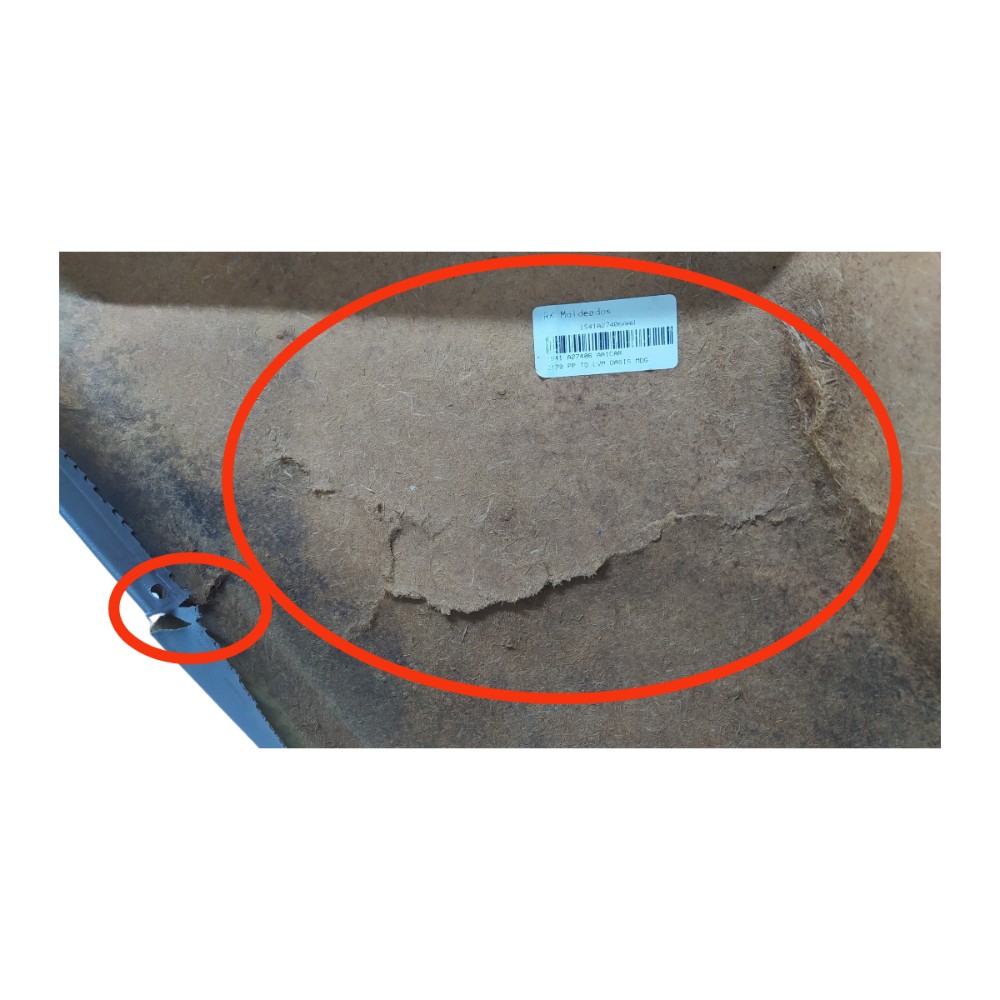 Forro Porta Traseira Direita Ford Focus 2001 V155 6