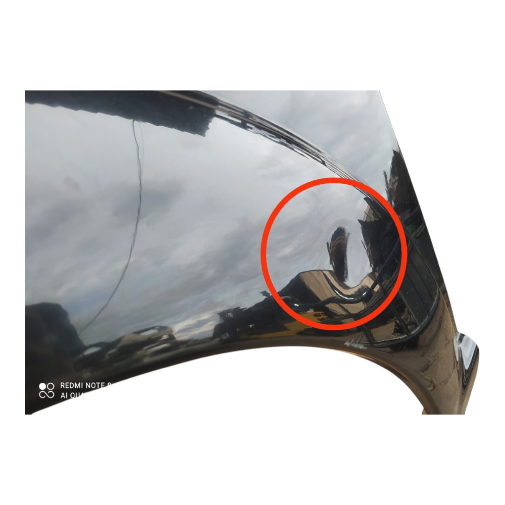 Paralama Esquerdo Citroen C3 2010 V127 8