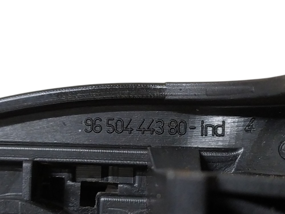 Maçaneta Externa Traseira Direita Citroen C3 2008 V107 5