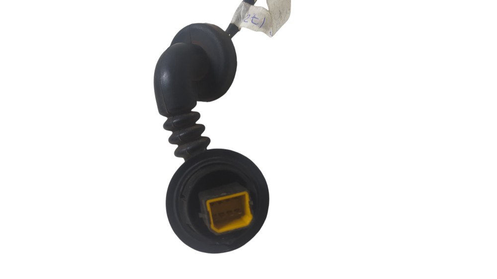 Chicote Porta Traseira Esquerda Ford Ecosport 2004.   v172 3