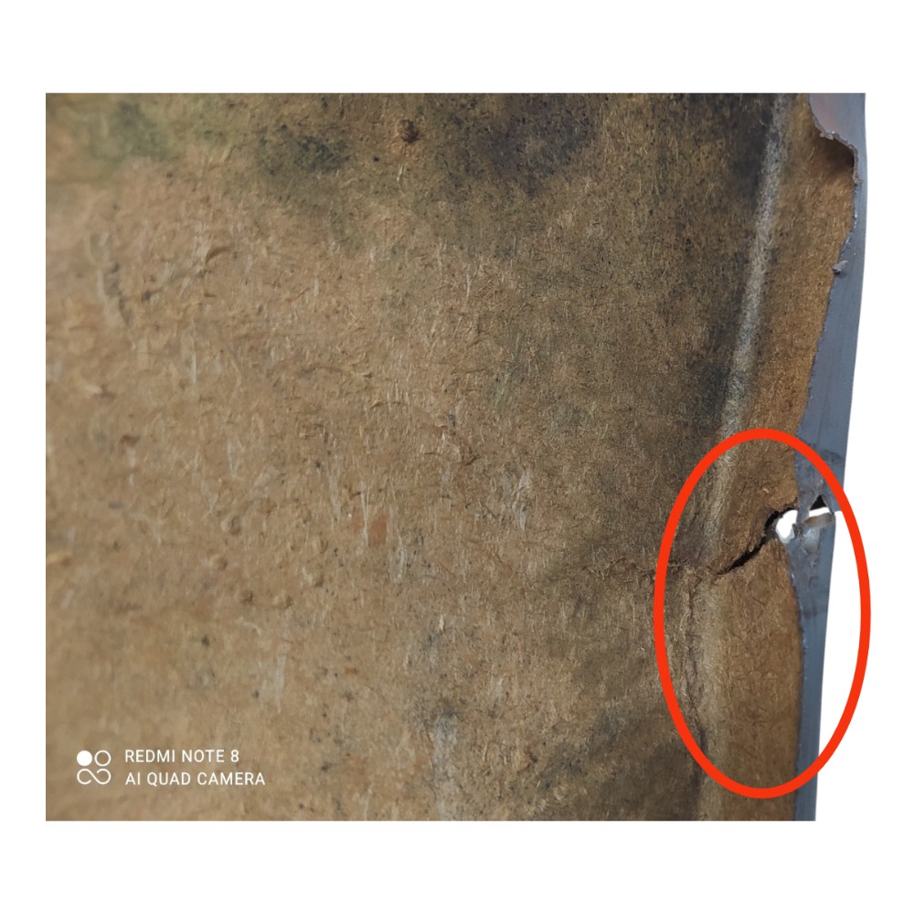 Forro Porta Traseiro Esquerdo Ford Focus 2001 V155 6