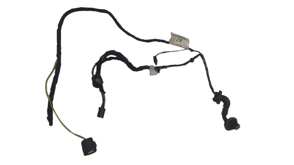 Chicote Porta Traseira Direita Ford Ecosport 2004 v172 2