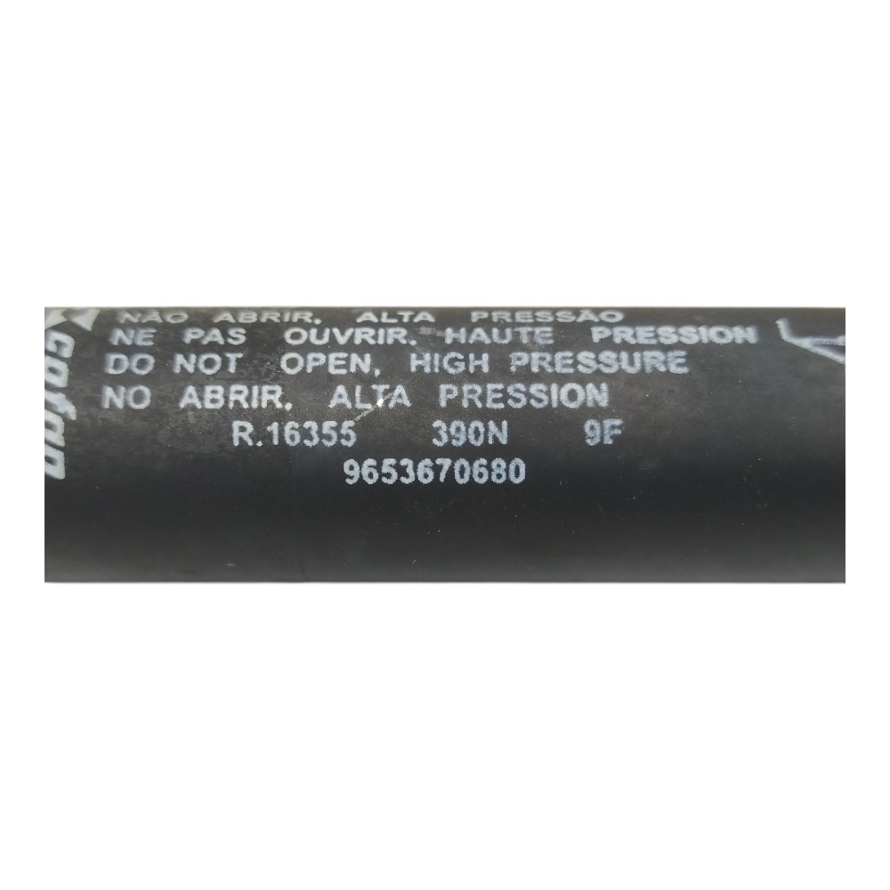 Amortecedor Tampa Traseira Citroen C3 2010 V127 6