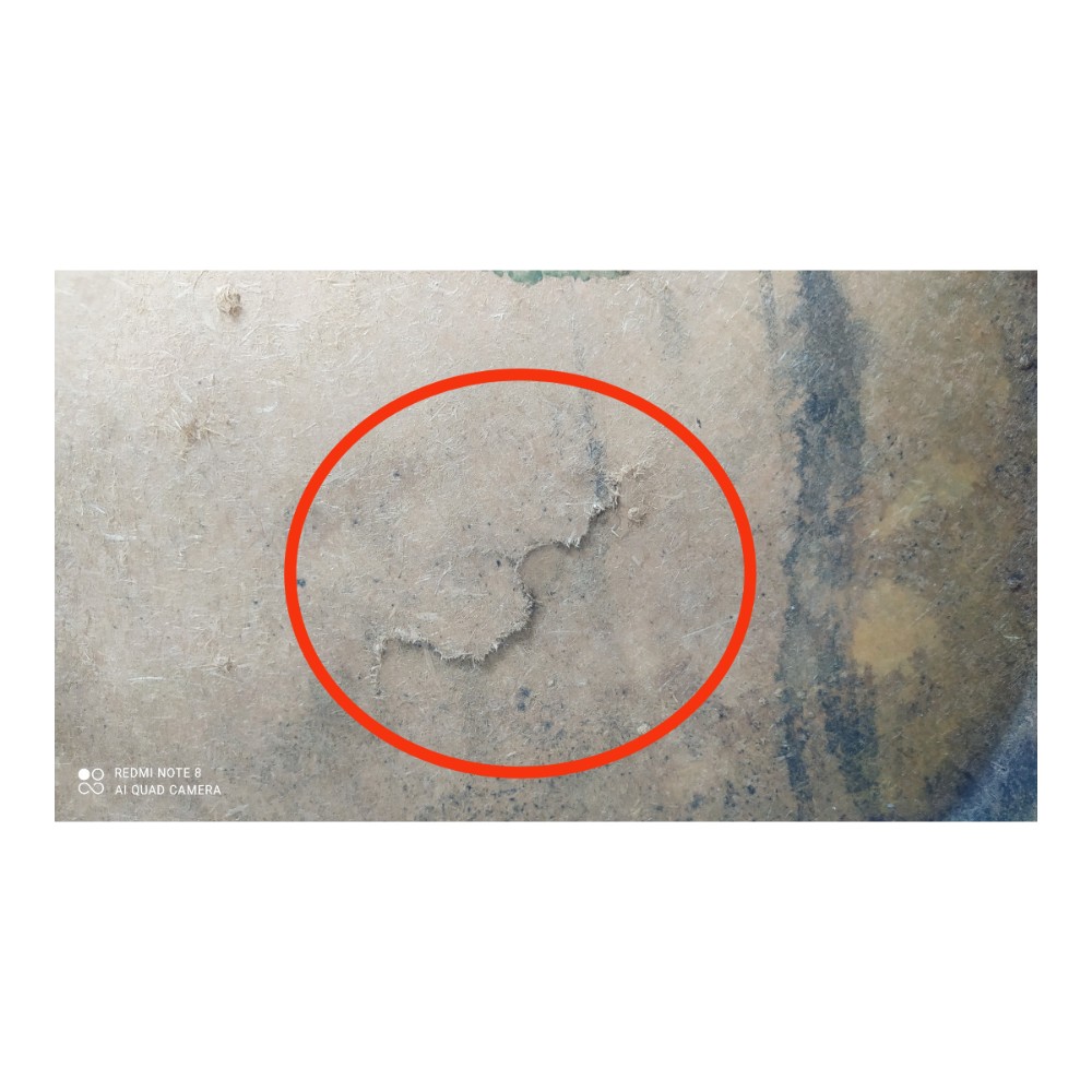 Forro Porta Traseira Direita Ford Focus 2001 V155 9
