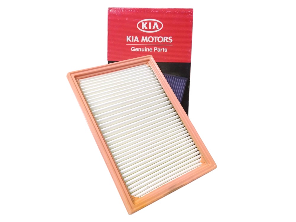 Filtro De Ar Do Motor Kia Sportage 2.0 1995 A 2002 Original