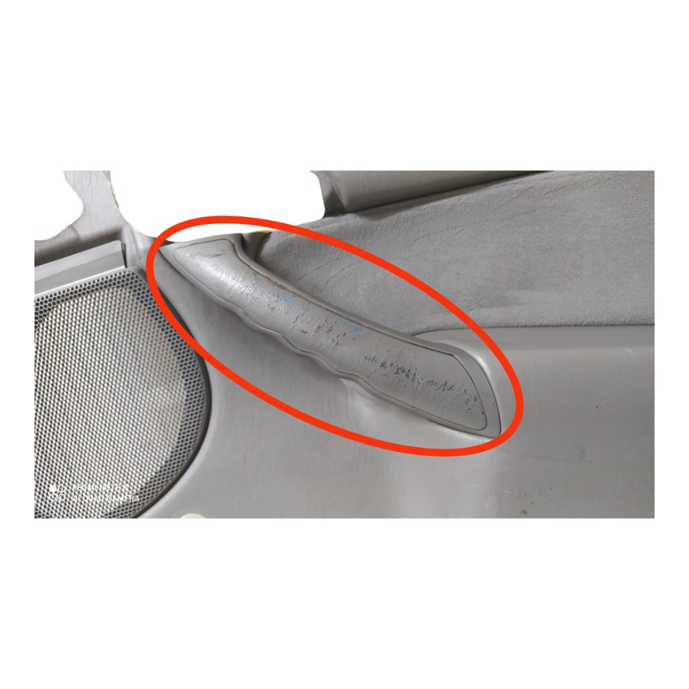 Forro Porta Traseira Direita Ford Focus 2001 V155 8