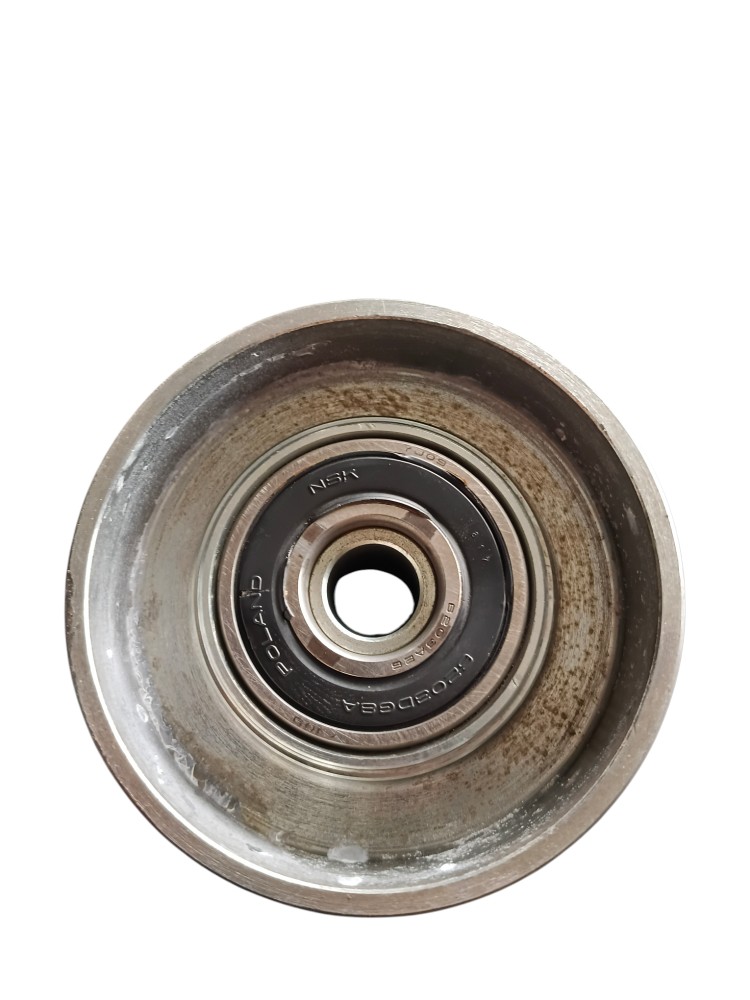 POLIA DE DESVIO EURO 5 – 21958006111 3
