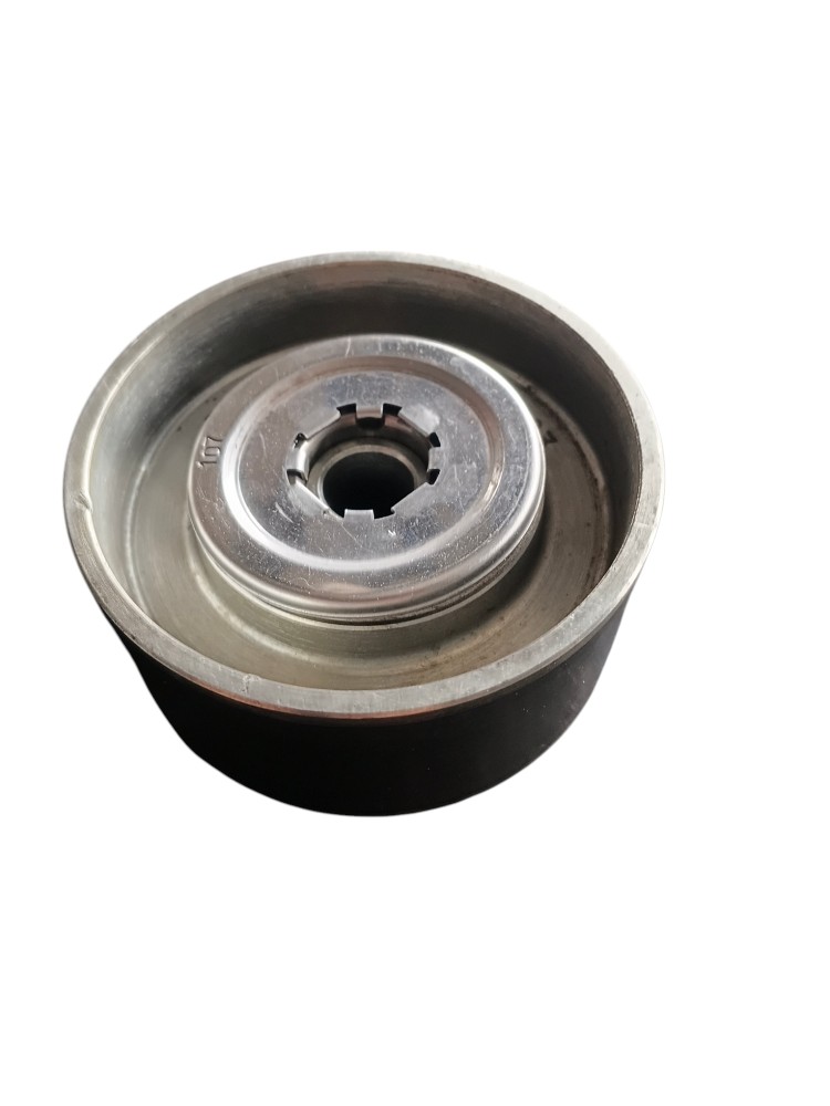 POLIA DE DESVIO EURO 5 – 21958006111 2