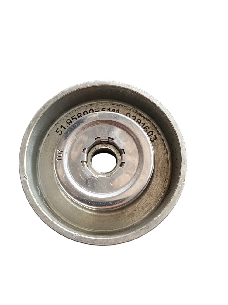 POLIA DE DESVIO EURO 5 – 21958006111