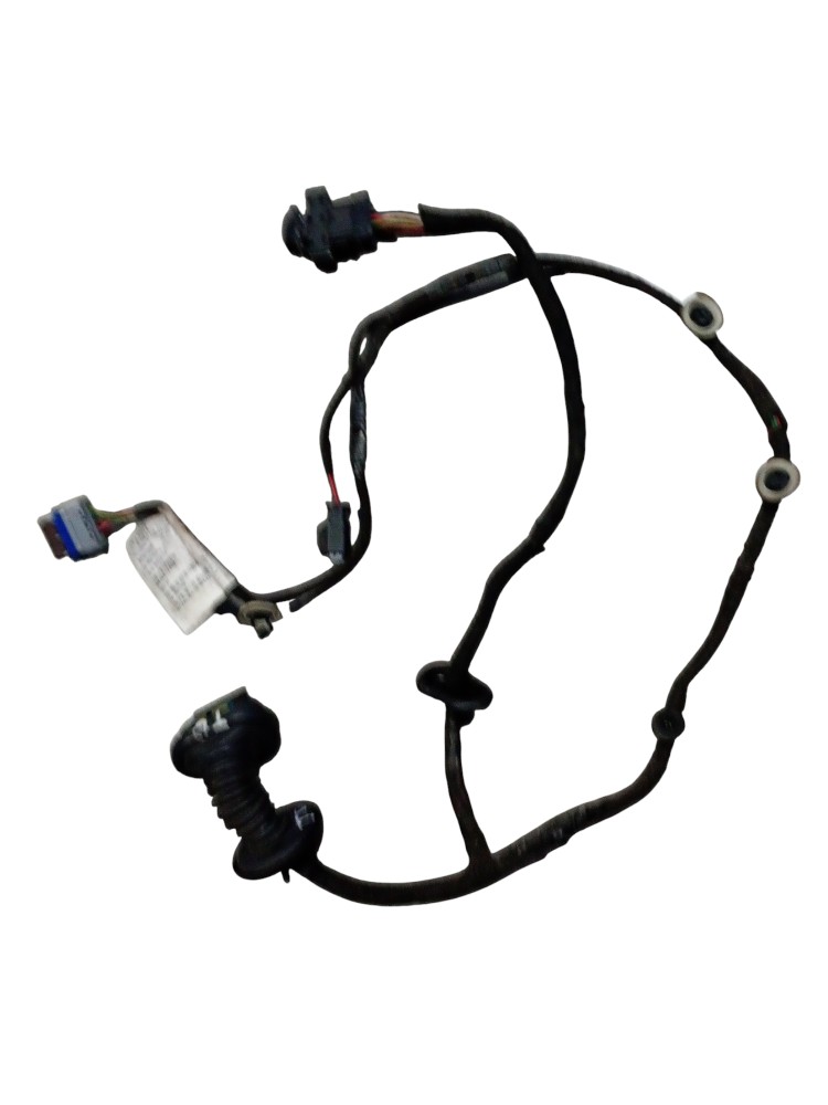 Chicote da Porta Traseira Direita Citroën C3 2014/2015 2
