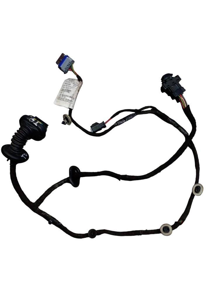 Chicote da Porta Traseira Direita Citroën C3 2014/2015 9