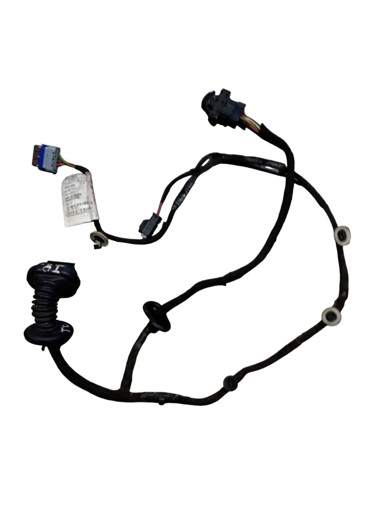 Chicote da Porta Traseira Direita Citroën C3 2014/2015 1