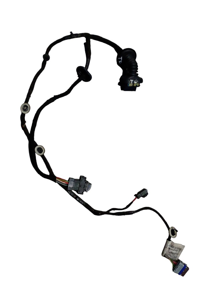 Chicote da Porta Traseira Direita Citroën C3 2014/2015 6