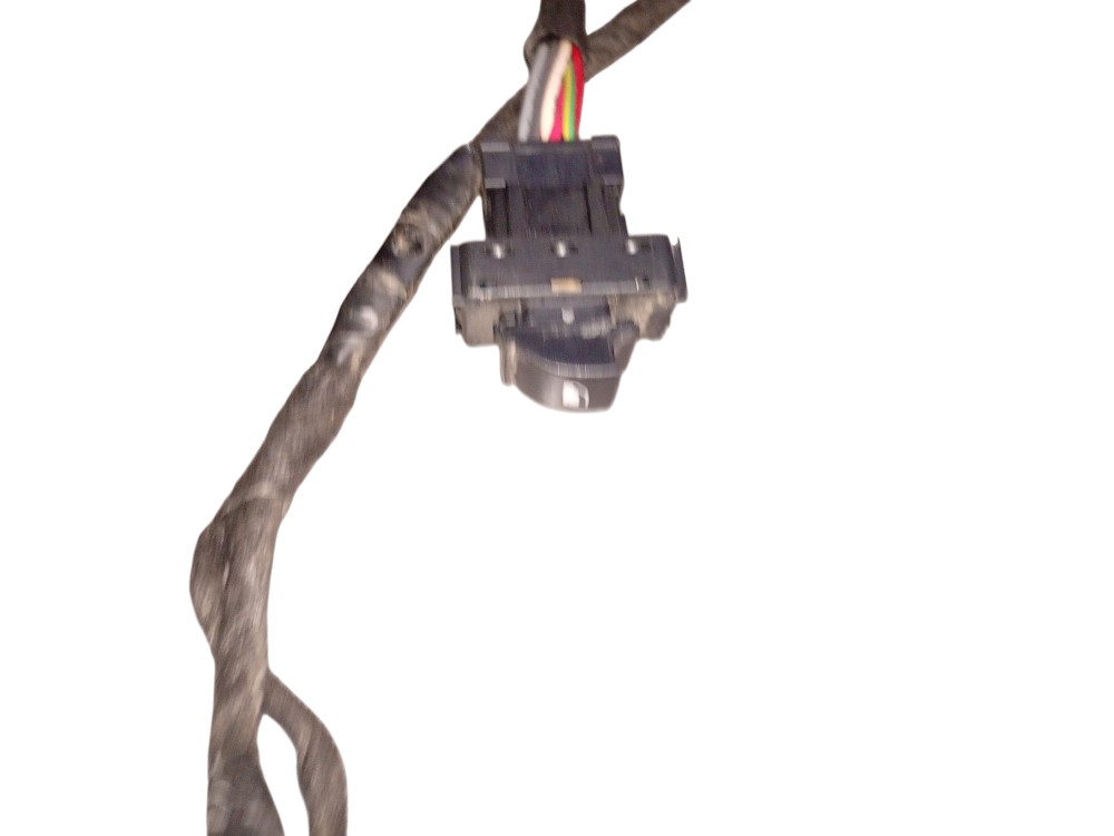 Chicote da Porta Traseira Direita Citroën C3 2014/2015 3