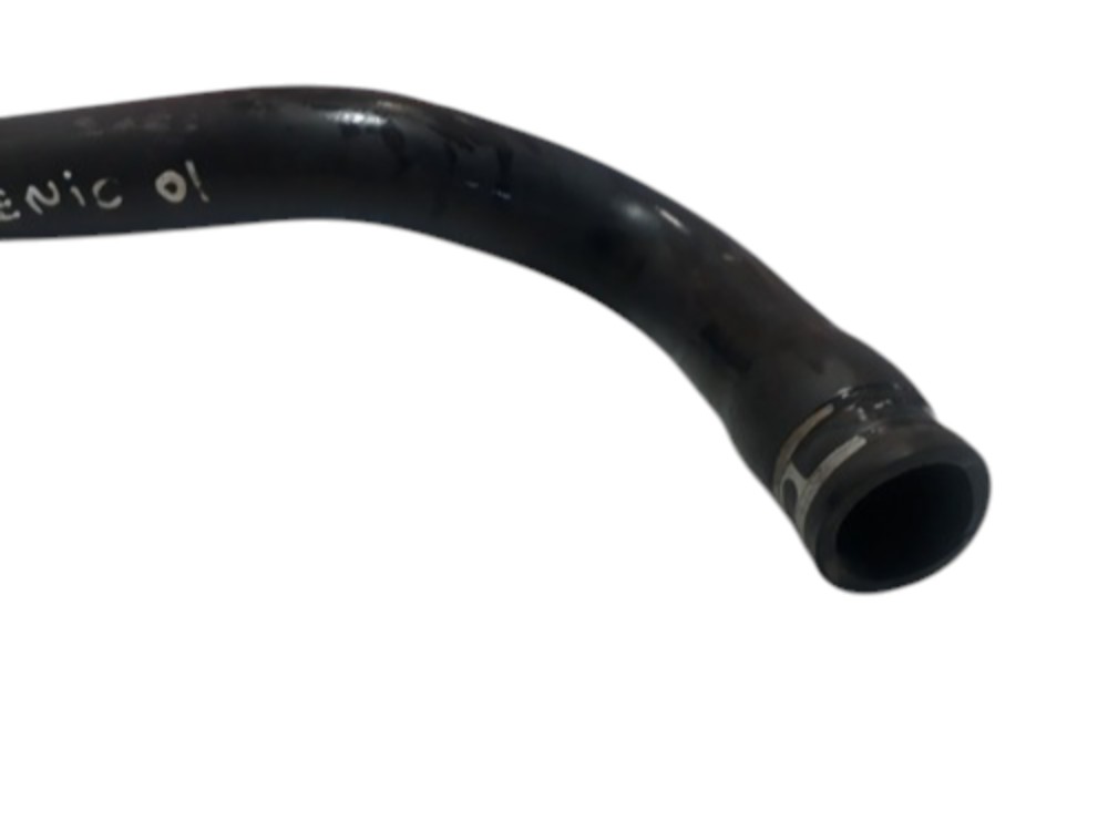 Mangueira Superior Radiador Renault Senic 2001 2002 5