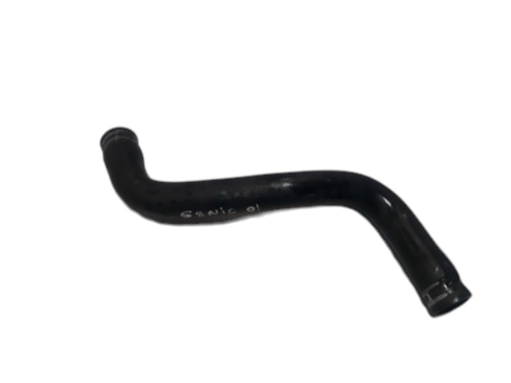 Mangueira Superior Radiador Renault Senic 2001 2002 7