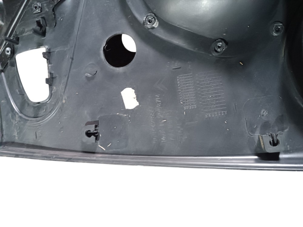 Forro Porta Traseira Esquerda Citroen Picasso 2002 2003 2004 7