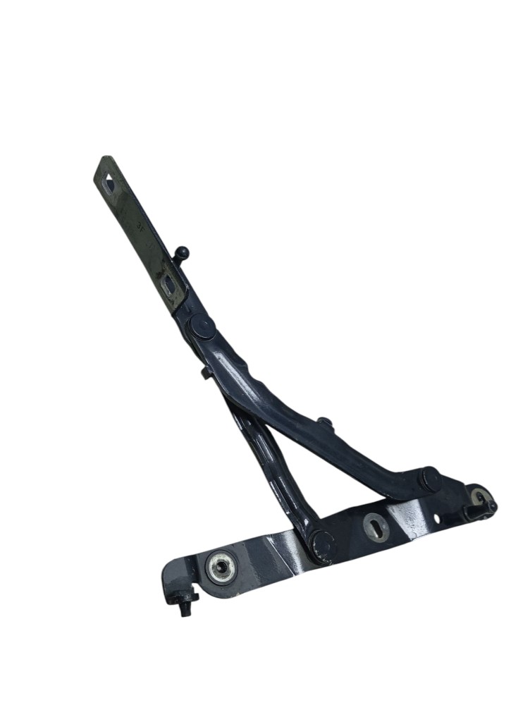 Dobradiça Da Porta Traseira Fiat Linea 2018