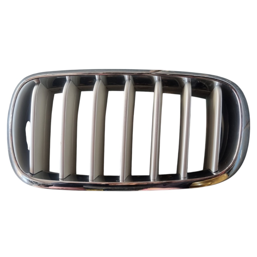 Grade Esquerda  Bmw X5