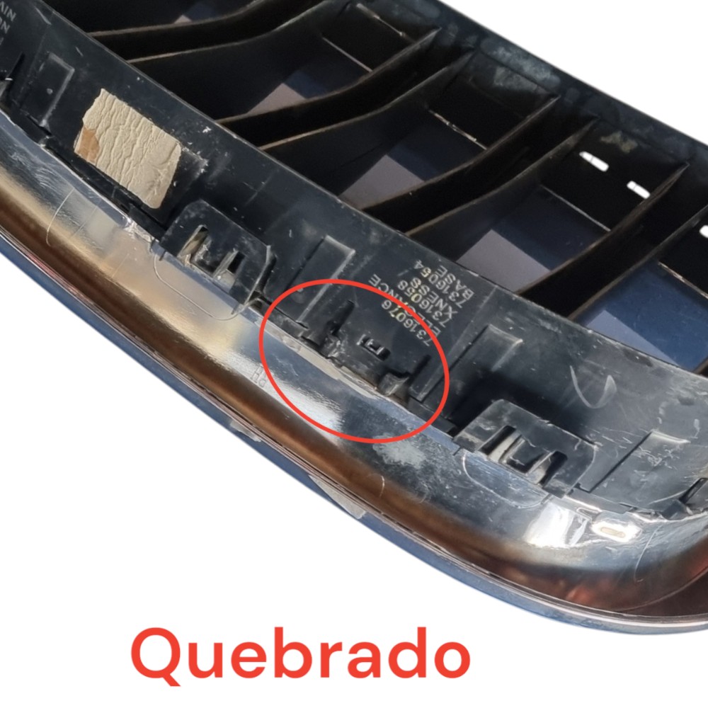 Grade Direita Bmw X5 Com Detalhe 10