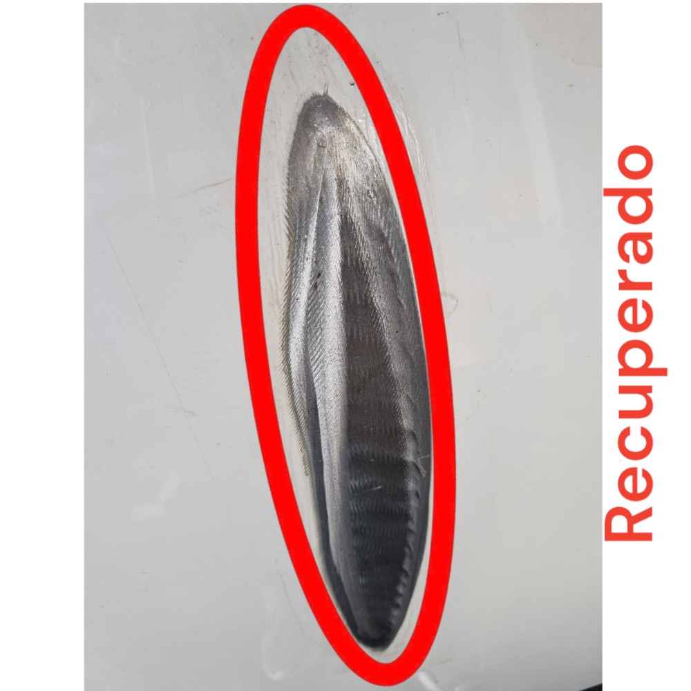 Capo Volkswagen Fox 2012 2013 Recuperado 3