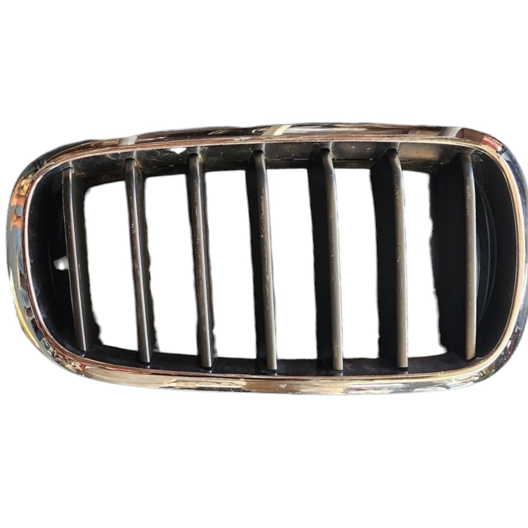 Grade Frontal Direita Bmw X5