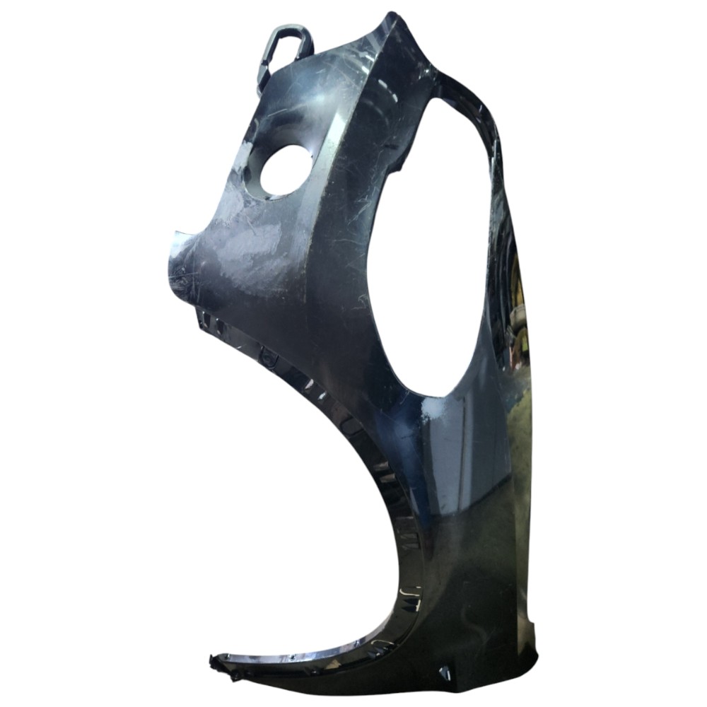 Paralama Esquerdo BMW X5 2008 2009 2010 1