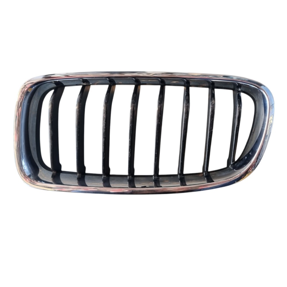 Grade Direita Bmw320i Detalhes