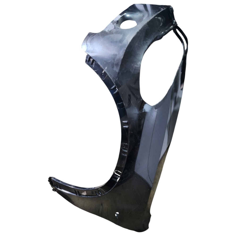 Paralama Esquerdo BMW X5 2008 2009 2010 2