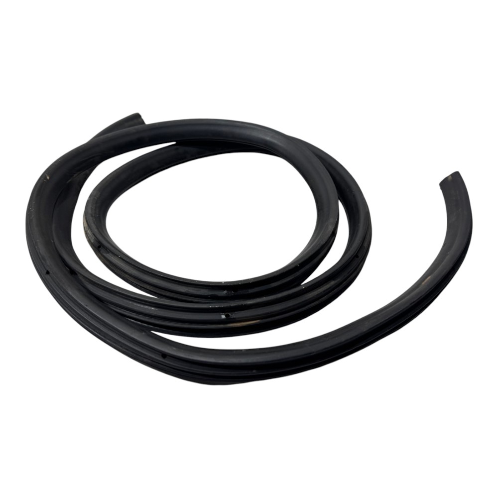 Borracha Guarnicao Porta Traseira Esquerda Focus Sedan 2006