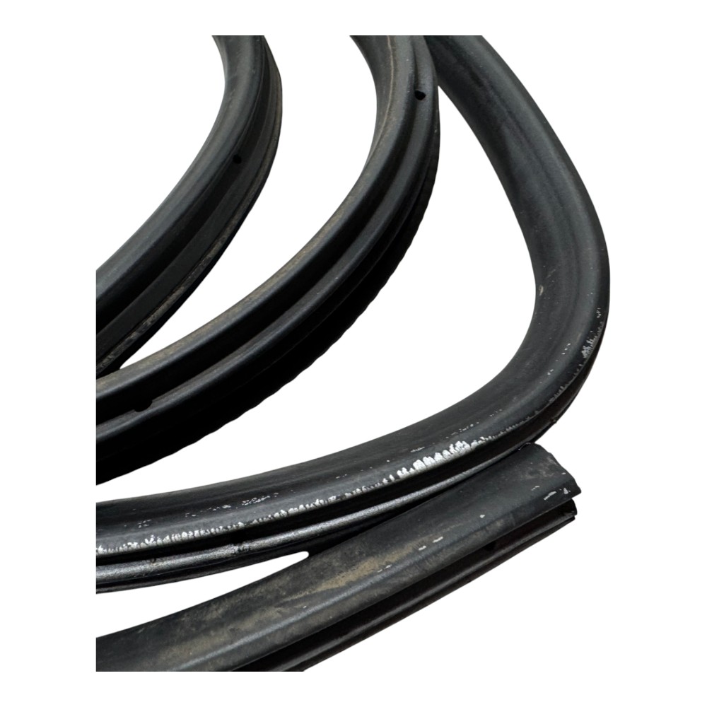 Borracha Guarnicao Porta Dianteira Direita Ford Focus Sedan 7