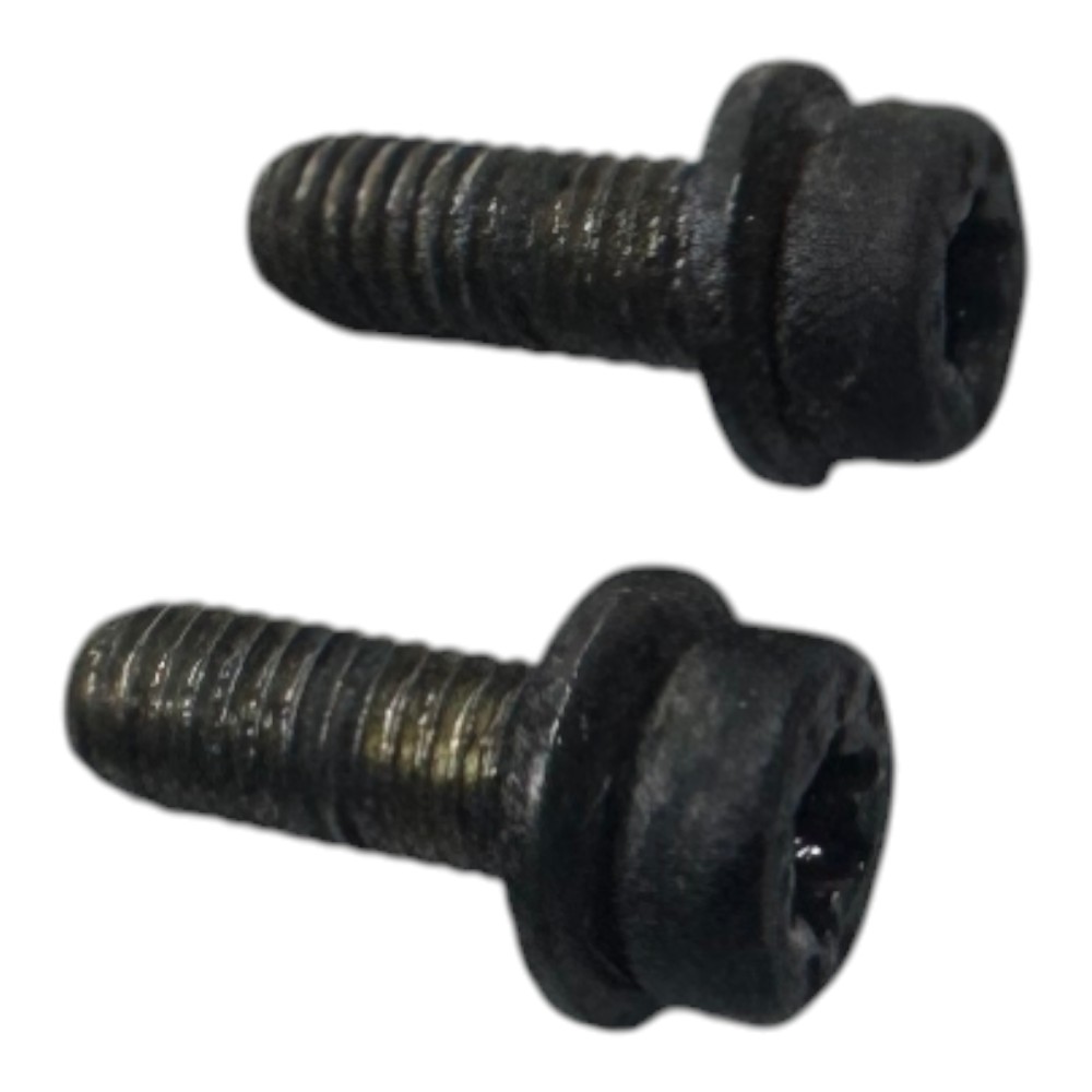 Par Parafuso Flauta Bico Inetor Vw Gol Parati Saveiro Ap 5