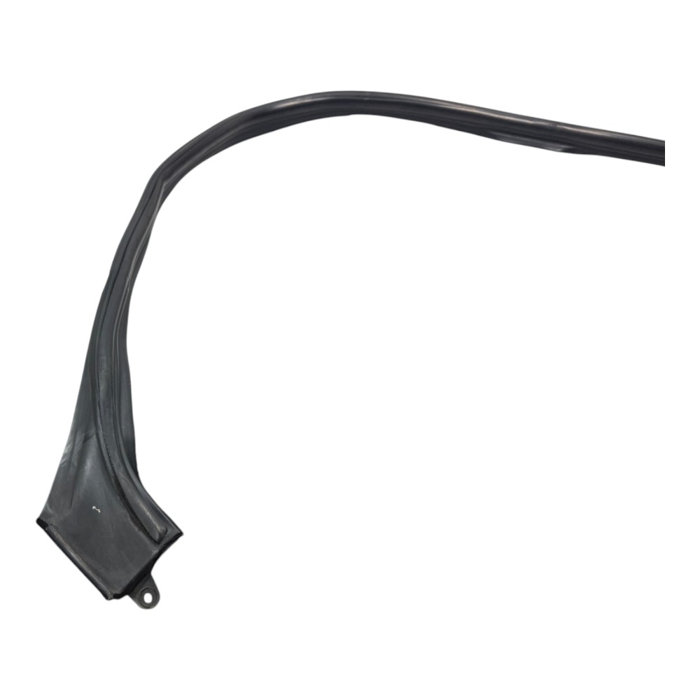 Friso Borracha Pingadeira Esquerda Fiat Palio Siena Original 10