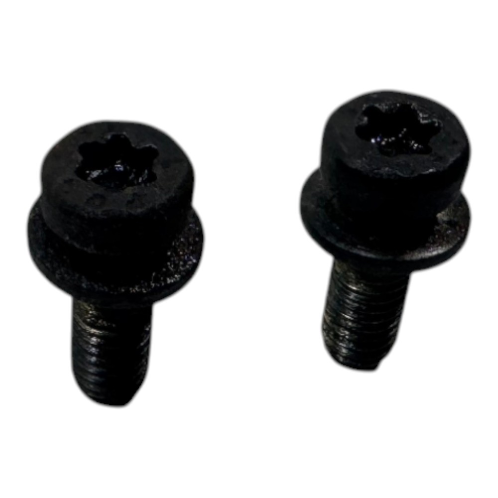 Par Parafuso Flauta Bico Inetor Vw Gol Parati Saveiro Ap 2