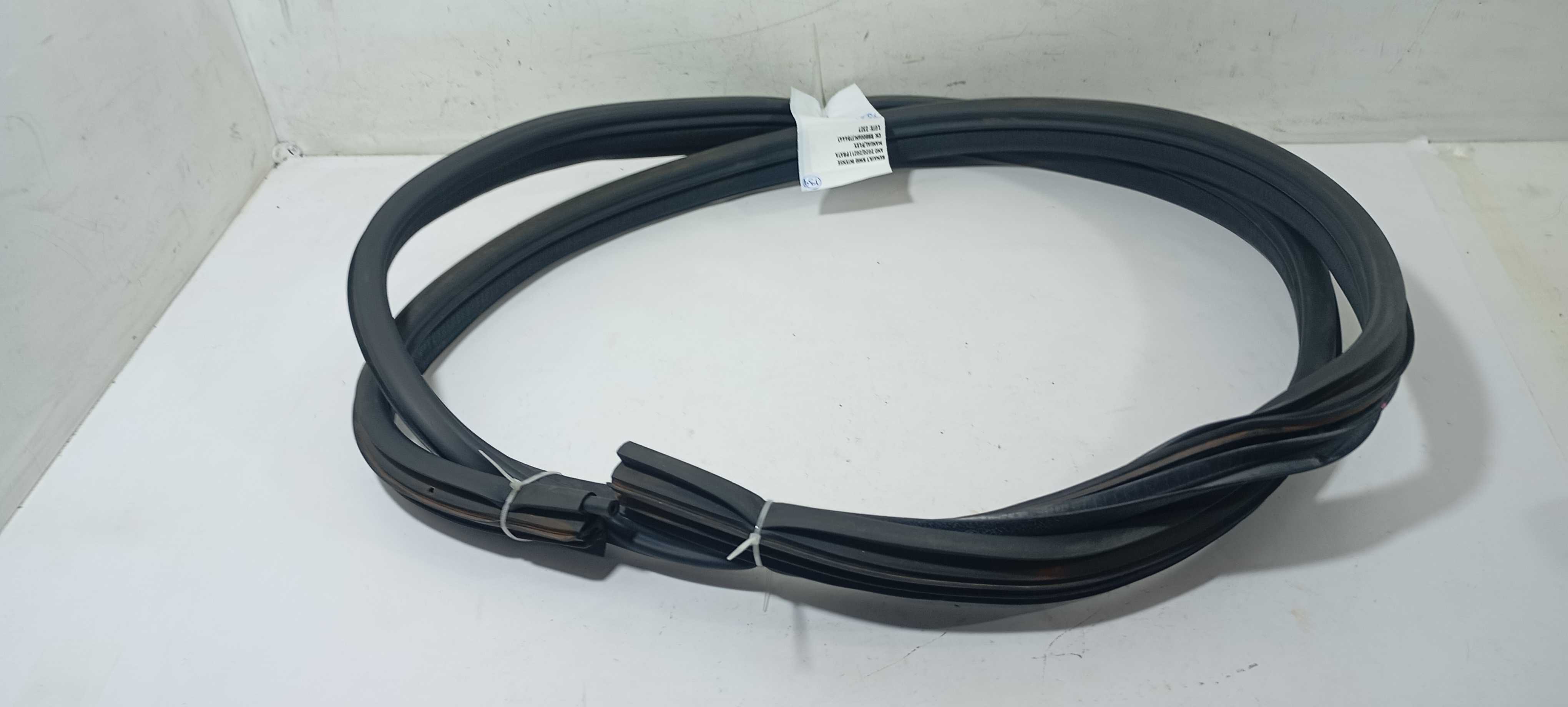 Borracha Porta Traseira Esquerda Kwid 2021 769225573r 4