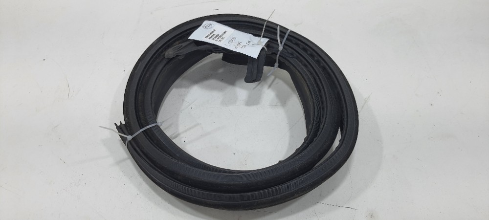 Borracha Teto Lado Esquerdo Renault Sandero 1.0 2019 3