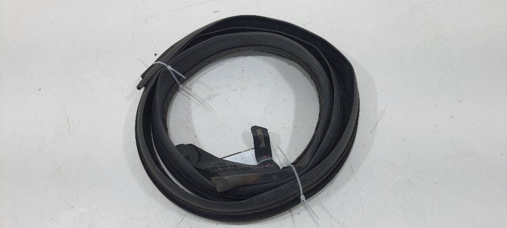 Borracha Teto Lado Esquerdo Renault Sandero 1.0 2019 1