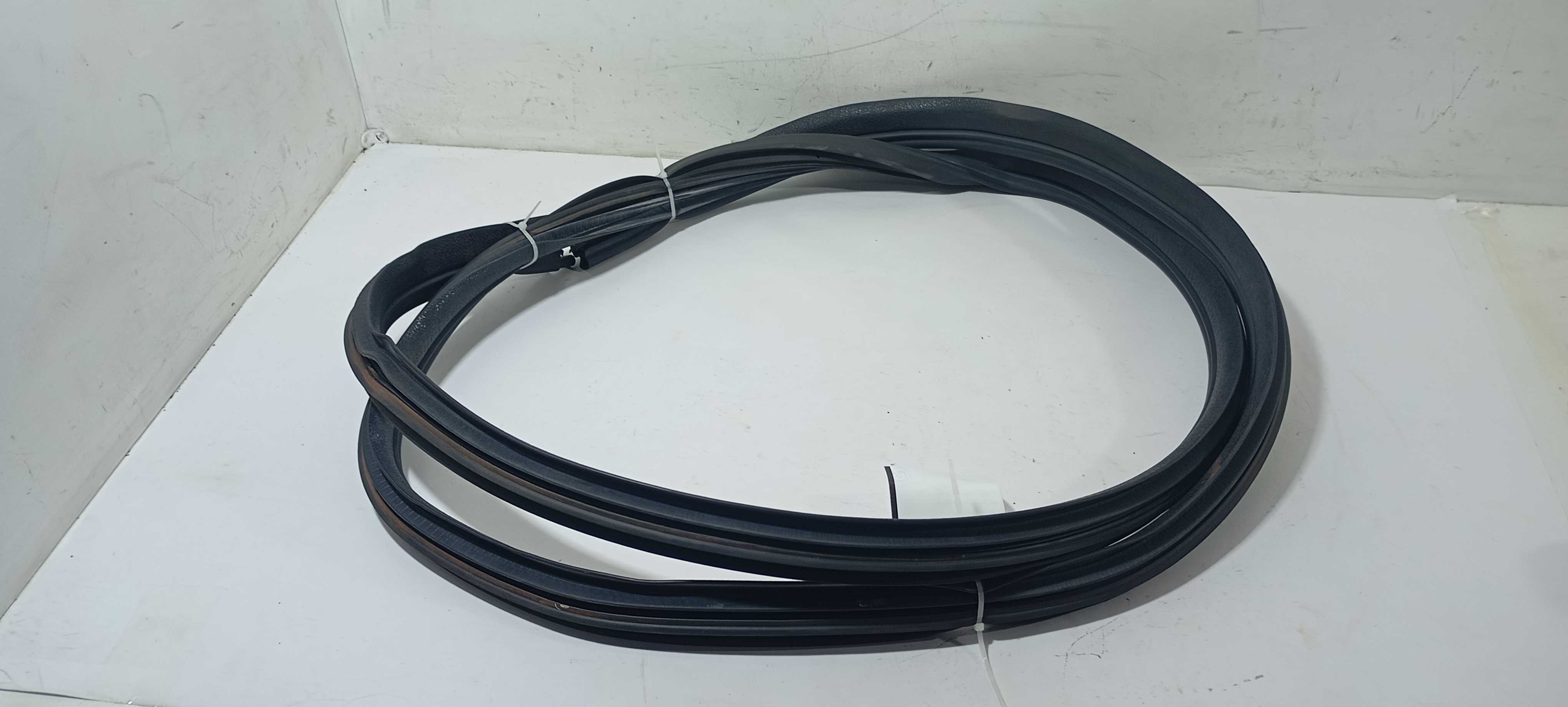 Borracha Porta Traseira Esquerda Kwid 2021 769225573r 3