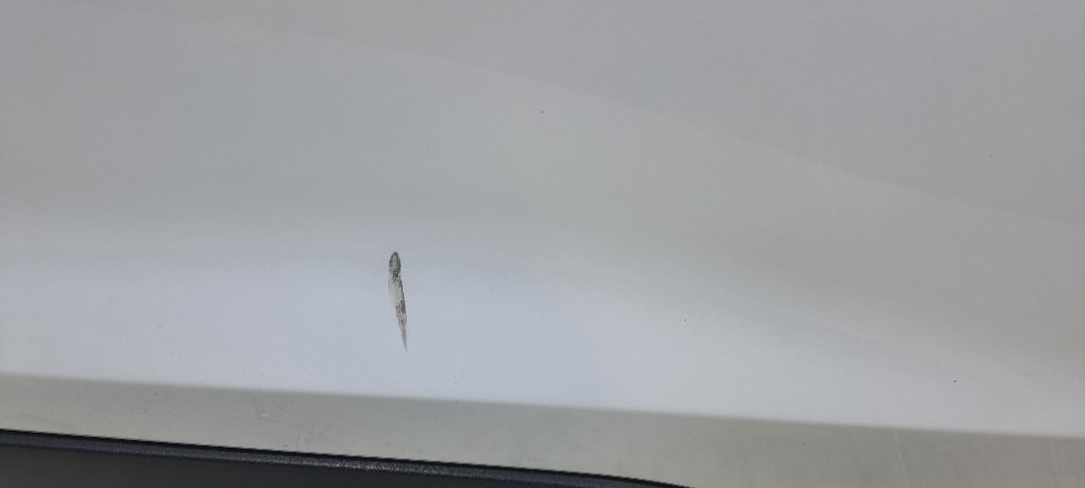 Porta Traseira Esquerda Nissan Kicks Cvt Ano 2019 H21015ramb Traseira Esquerda Branco 5