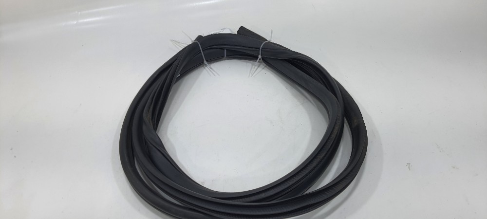 Borracha Porta Traseira Esquerda Nissan Kicks 2019 Prero 3