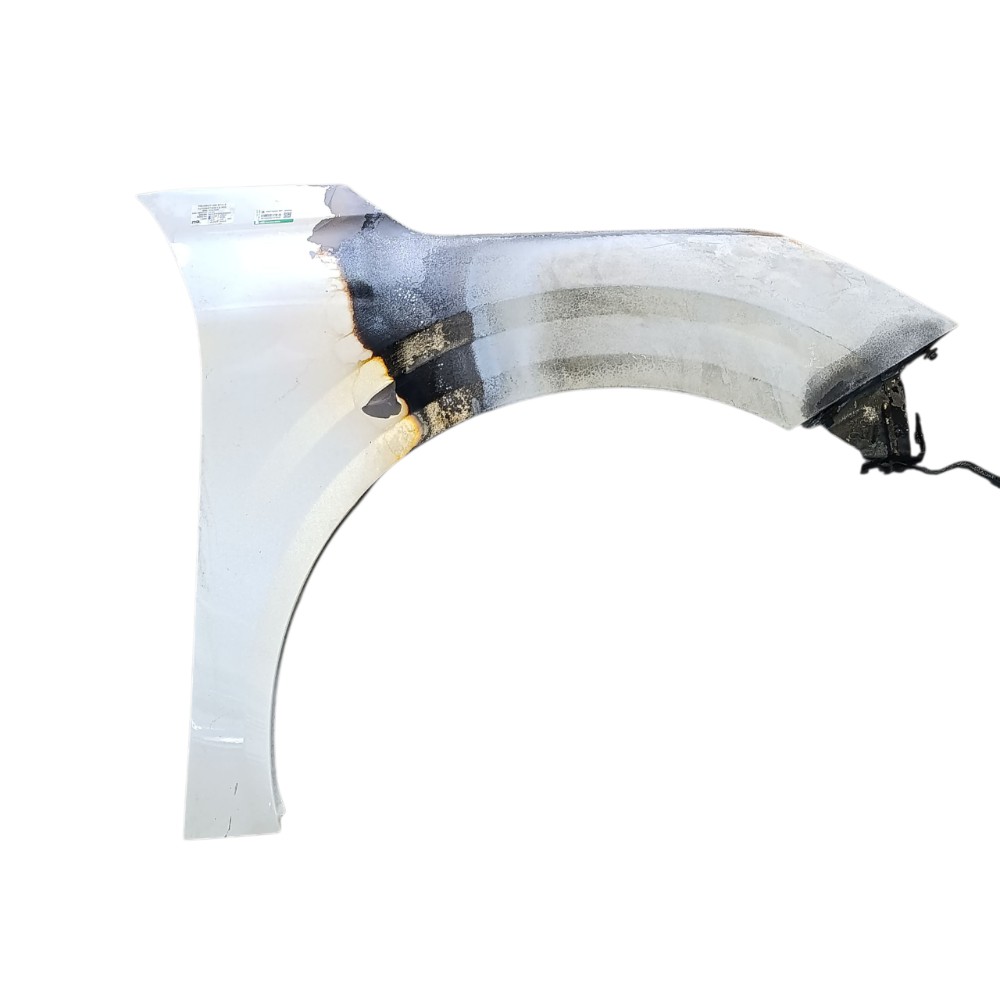 Paralama Peugeot 208 2024 direito queimado 9823146980 1