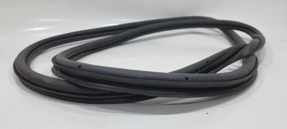 Borracha Porta Traseira Direita Vw Virtus 2023 6ec867914c 4