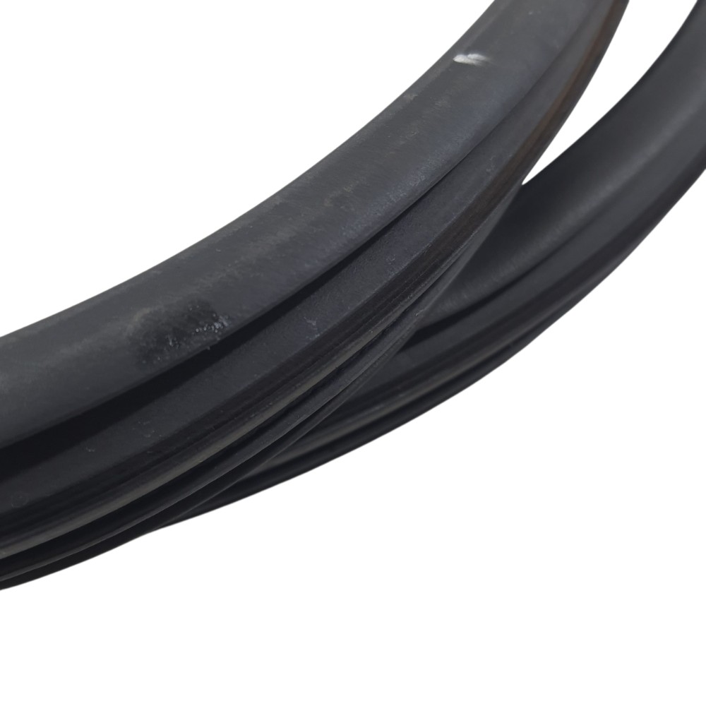 Borracha Porta Dianteira Esquerda Kwid Zen 2023 808333086r 6