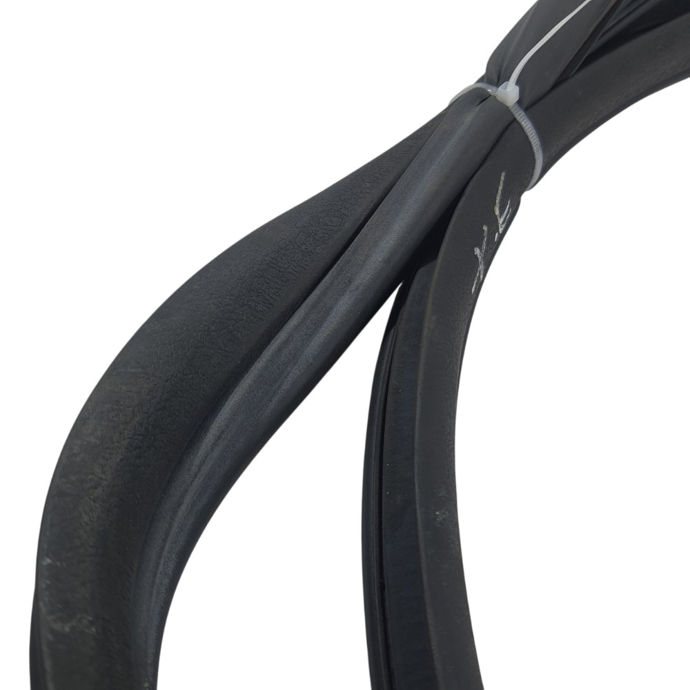 Borracha Porta Traseira Esquerda Kwid Zen 2023 769225573r 2