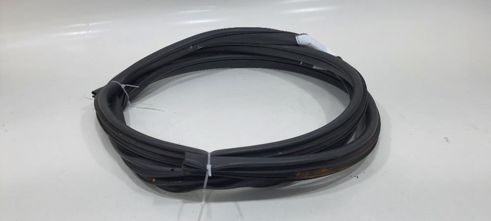 Borracha Porta Traseira Direita Nissan Kicks Ano 2019 2