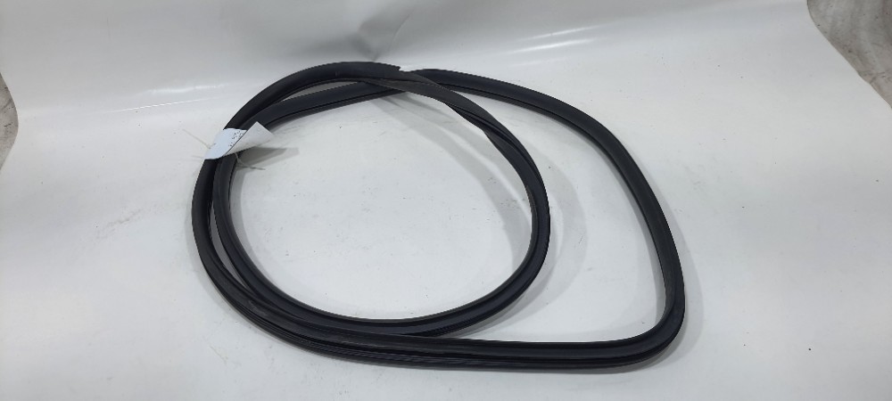 Borracha Porta Traseira Esquerda Hb20s 1.0 Comfortline 2019 Preto 2
