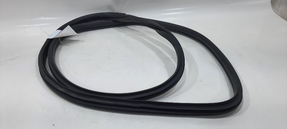 Borracha Porta Traseira Esquerda Hb20s 1.0 Comfortline 2019 Preto 3
