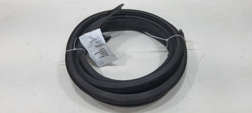 Borracha Teto Lado Direito Renault Sandero 1.0 2019 5